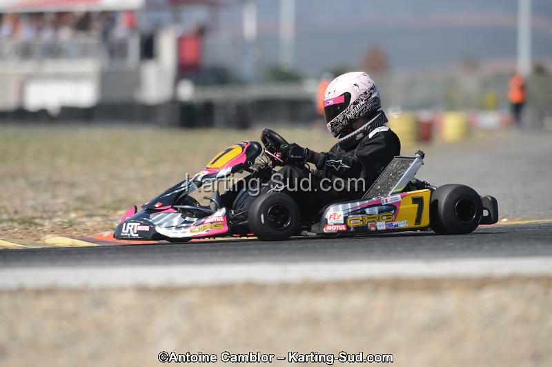 DSC_4528.jpg