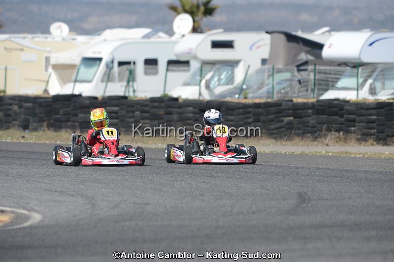 DSC_4554.jpg