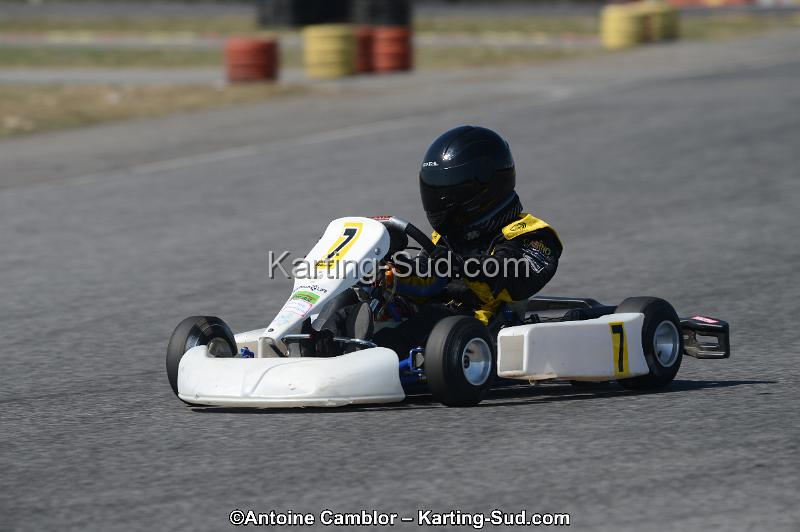 DSC_4633.jpg