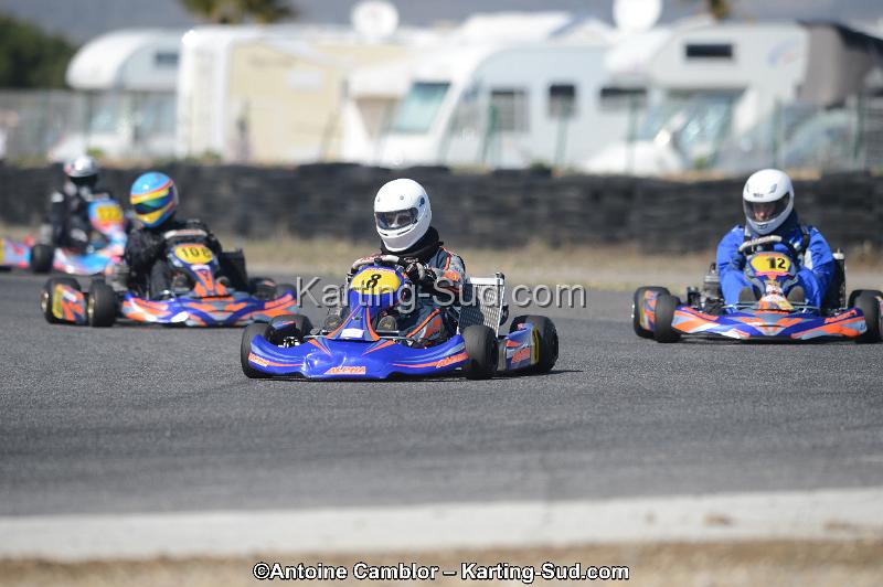 DSC_4668.jpg