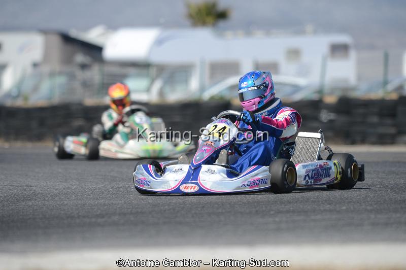 DSC_4687.jpg