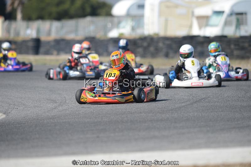 DSC_4936.jpg