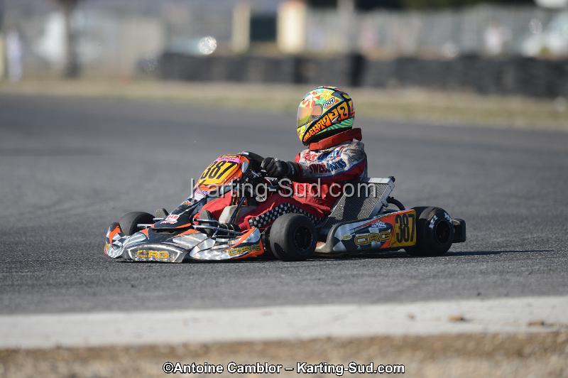 DSC_5232.jpg
