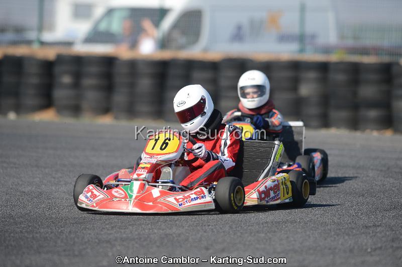 DSC_5278.jpg