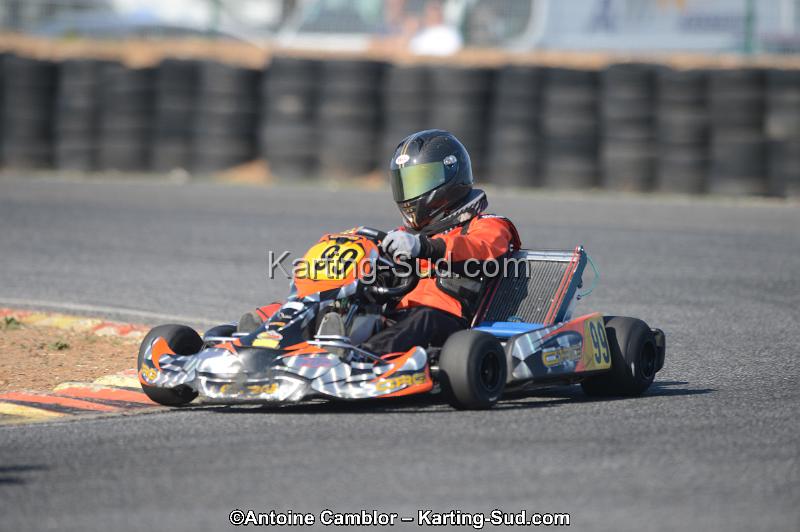 DSC_5331.jpg