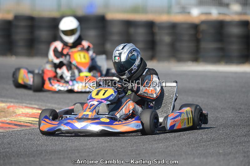 DSC_5365.jpg