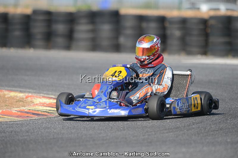 DSC_5371.jpg