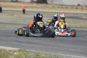 DSC_4291