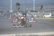 DSC_4475