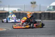 DSC_4953