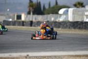 DSC_5233