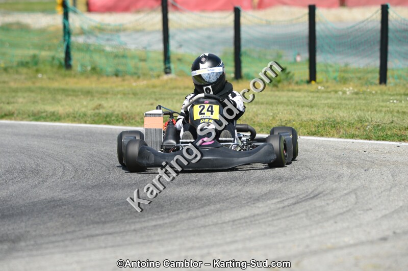 DSC_0066.jpg