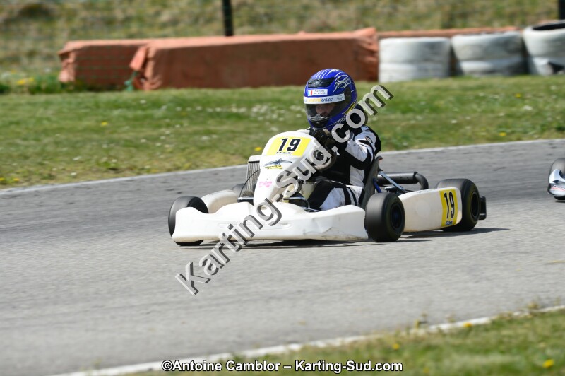 DSC_0081.jpg
