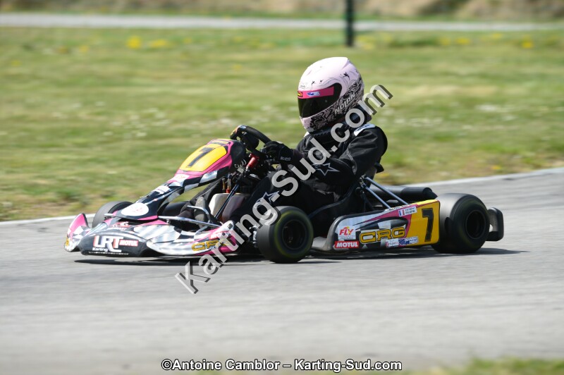 DSC_0084.jpg