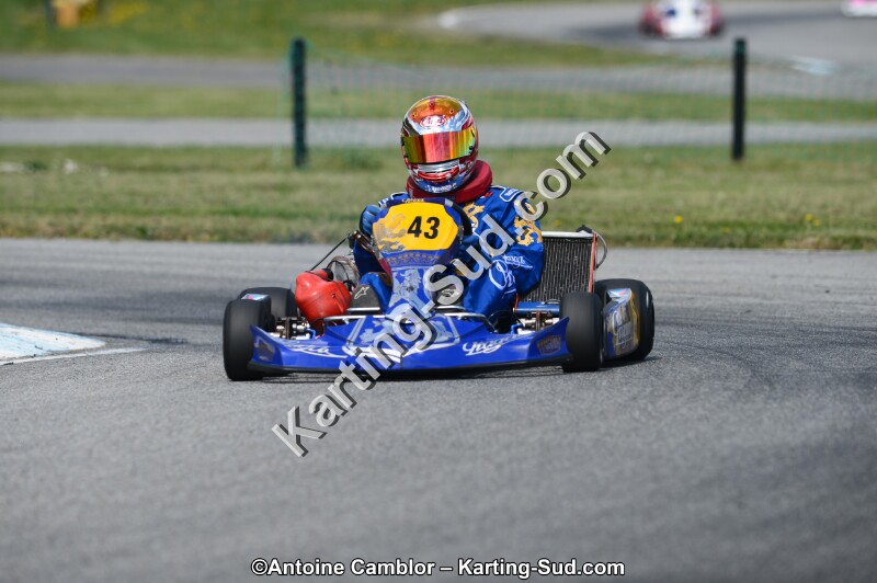 DSC_0175.jpg