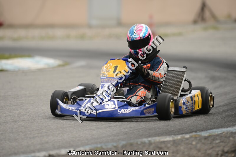 DSC_0509.jpg