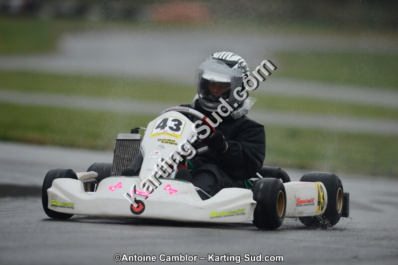 DSC_0981.jpg