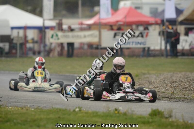 DSC_2017.jpg