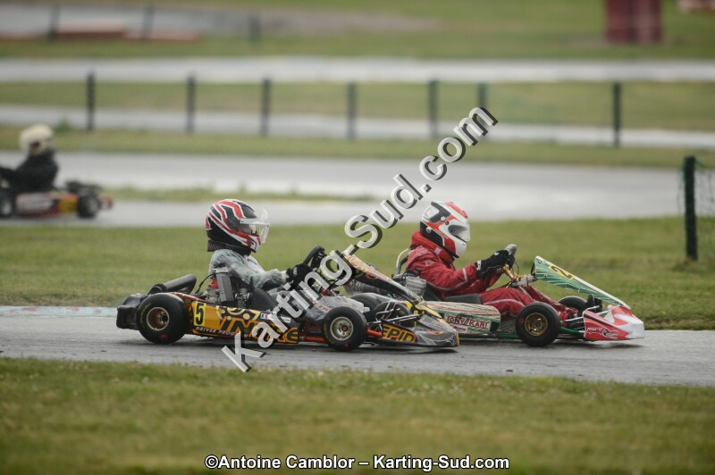 DSC_2305.jpg
