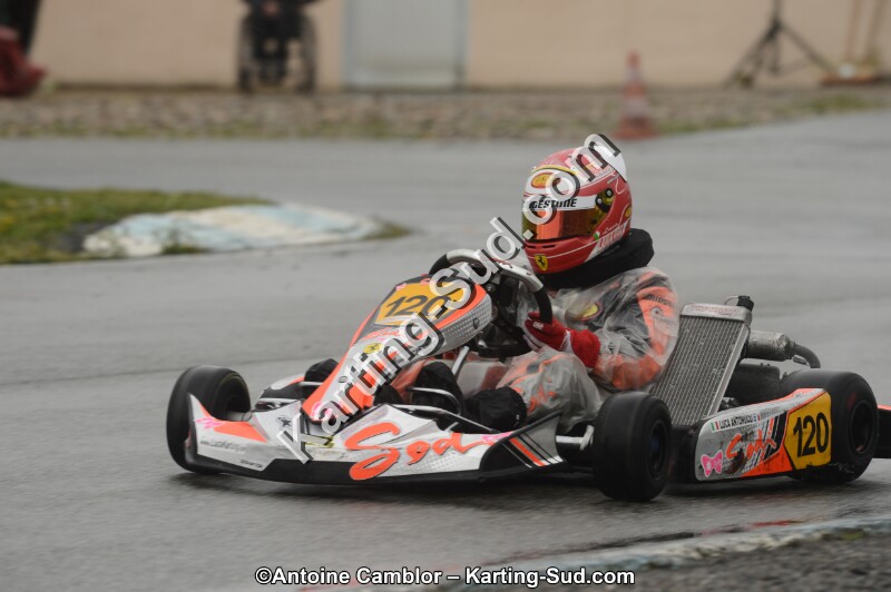 DSC_2330.jpg