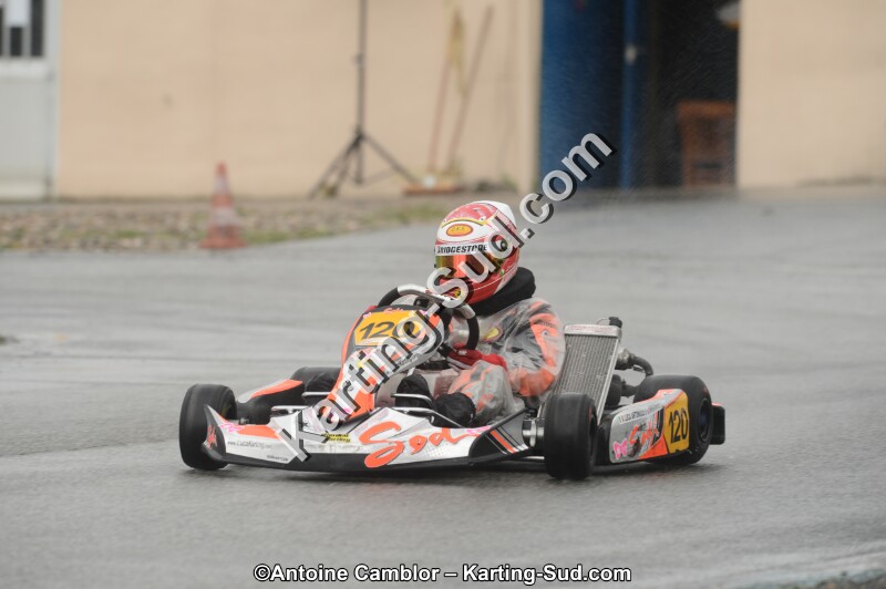 DSC_2339.jpg