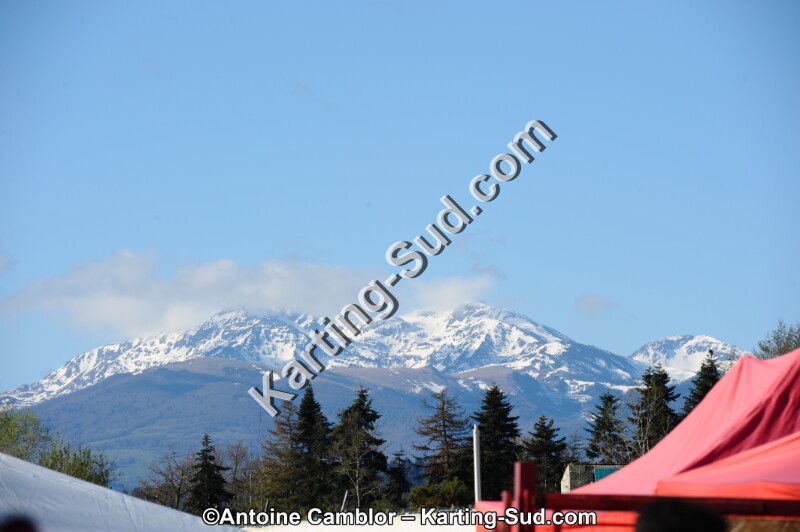DSC_8474-2.jpg