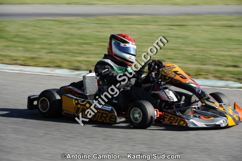 DSC_8595-2.jpg