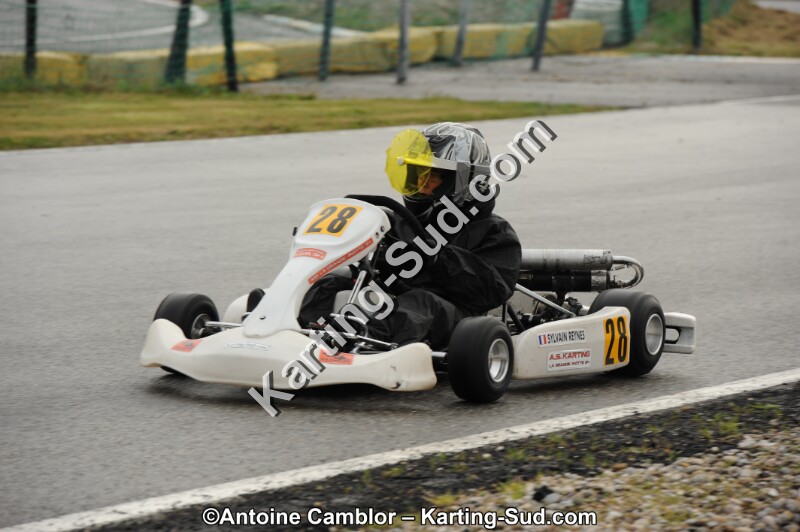 DSC_9082-2.jpg