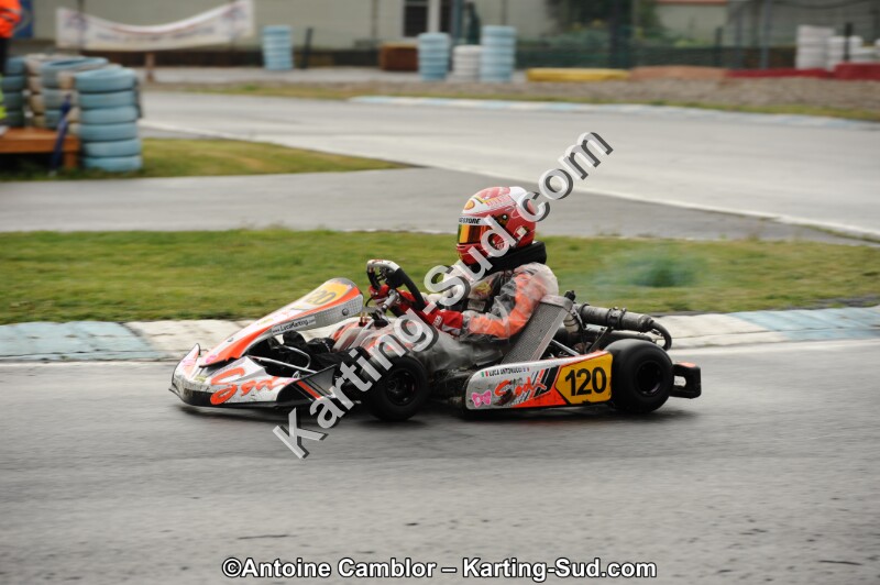 DSC_9084-2.jpg