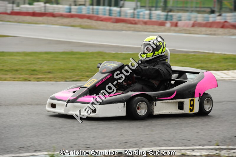 DSC_9310-2.jpg