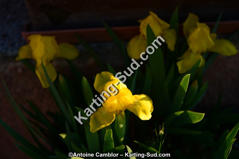 DSC_9711.jpg