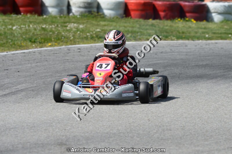 DSC_9981.jpg