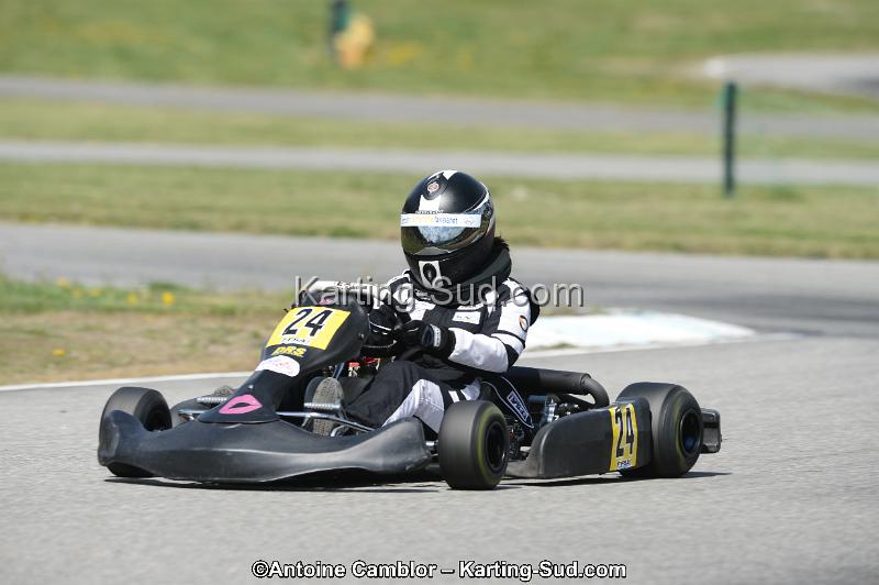 DSC_0260.jpg