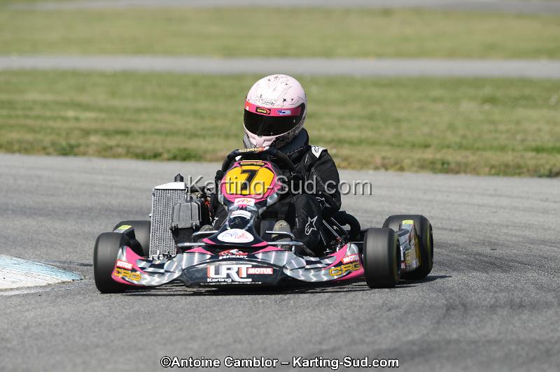 DSC_0306.jpg