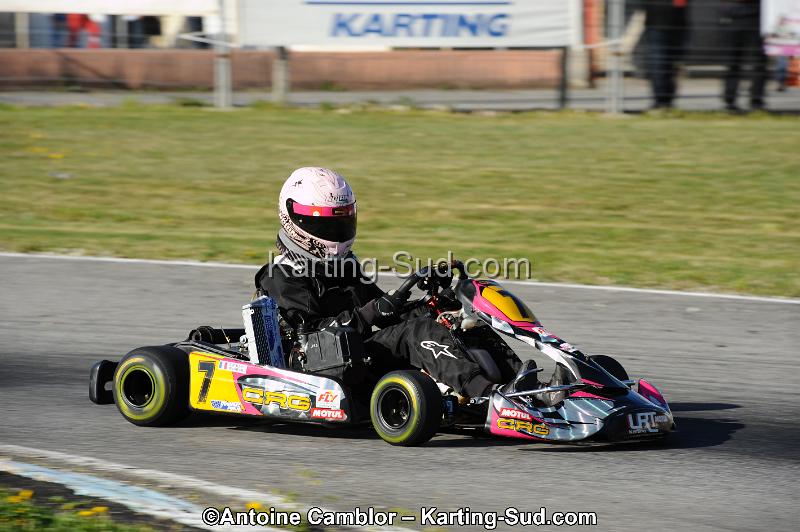 DSC_8520.jpg