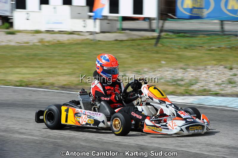 DSC_9517-3.jpg