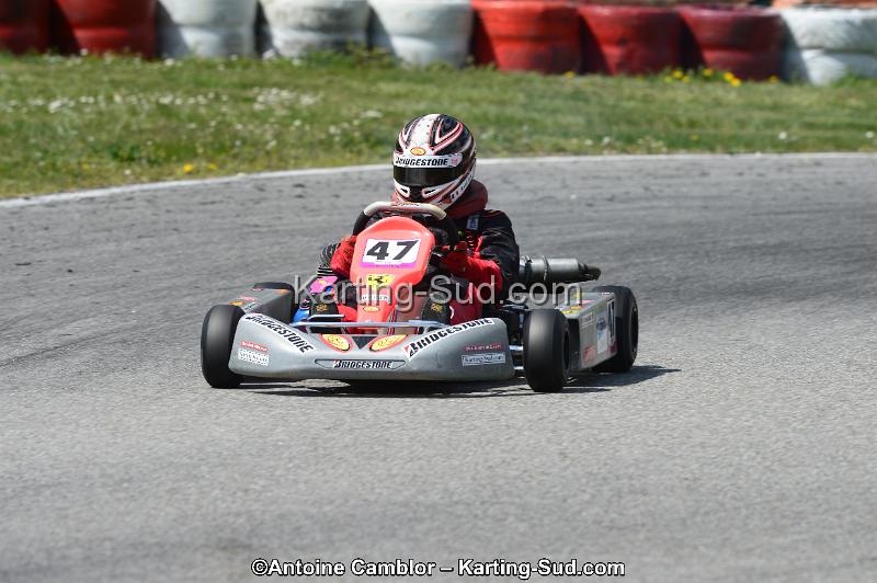 DSC_9981.jpg