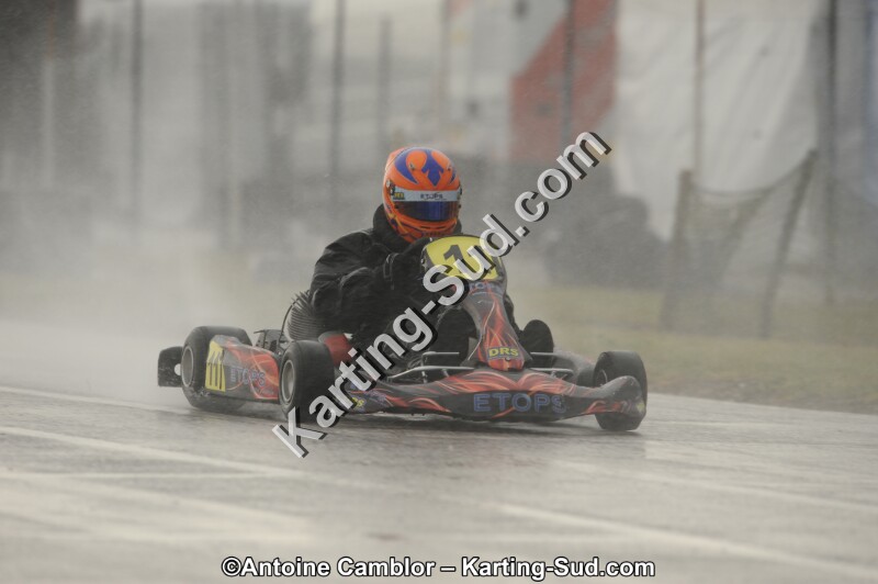DSC_0263.jpg