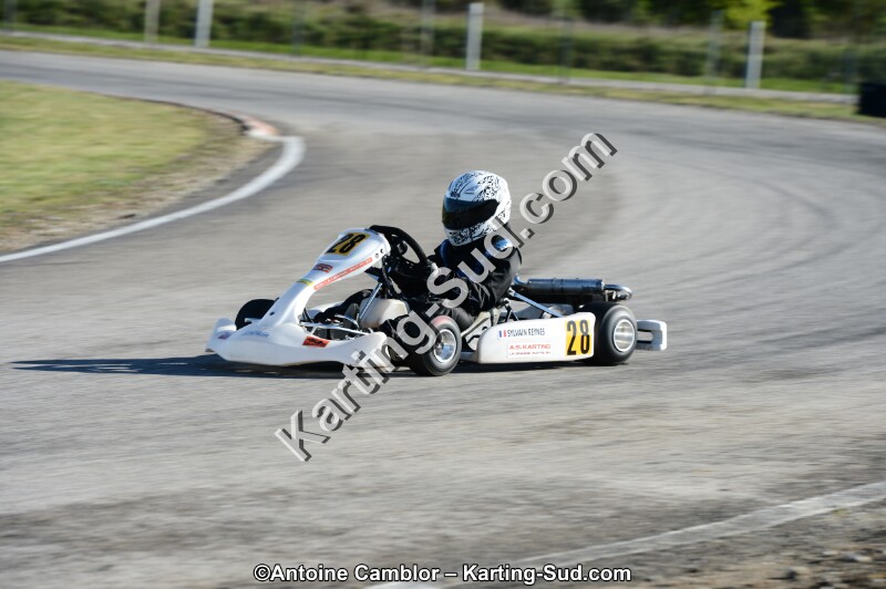 DSC_2648.jpg