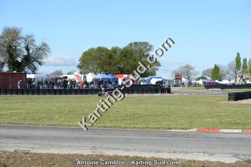 DSC_2686.jpg
