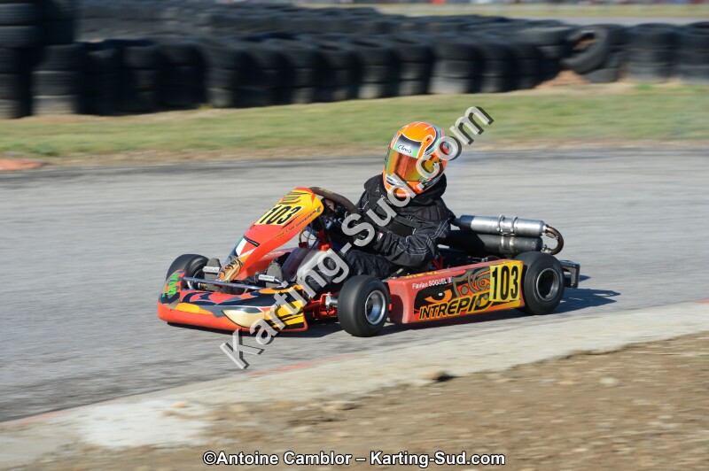 DSC_2732.jpg
