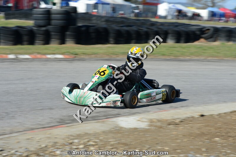 DSC_2785.jpg
