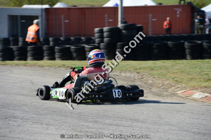 DSC_2915.jpg