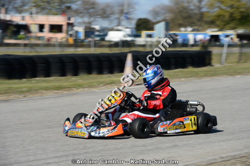 DSC_2919.jpg