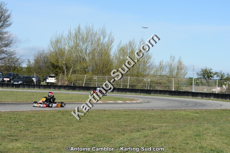 DSC_2942.jpg