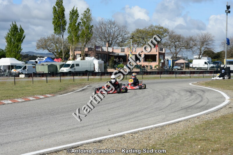 DSC_3136.jpg