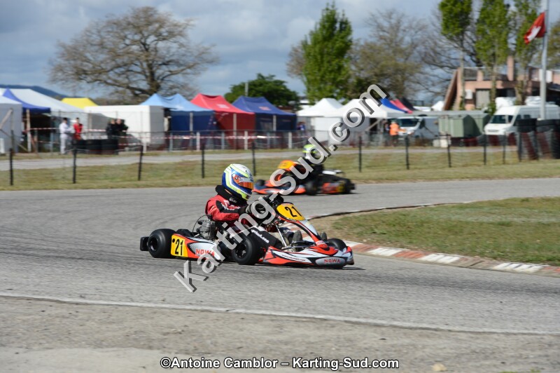 DSC_3347.jpg