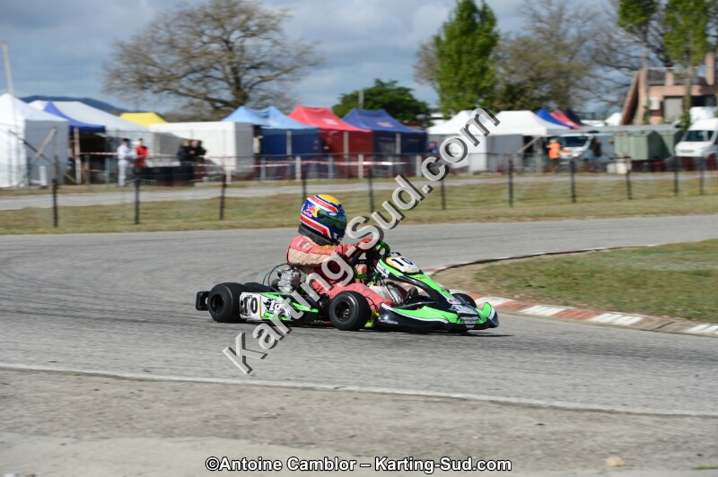 DSC_3350.jpg