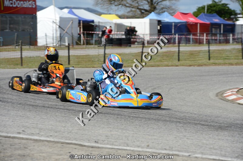 DSC_3377.jpg