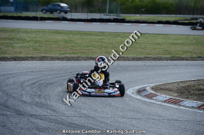 DSC_3453.jpg